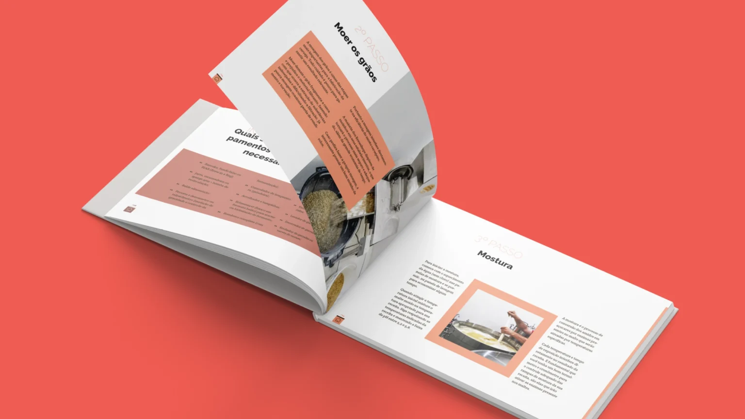 design-editorial-curitiba-e-todo-o-parana-e-brasil-@tonykarlos-2