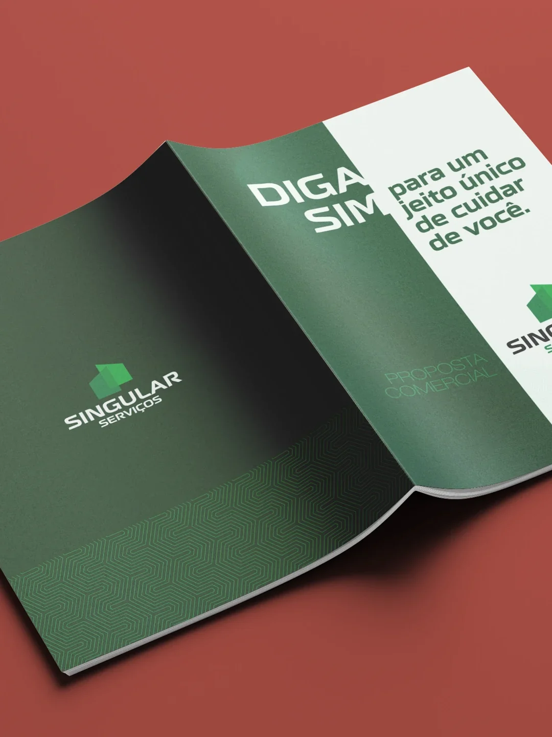 designer grafico independente para projeto grafico editorial digital e impresso tonykarlos-32